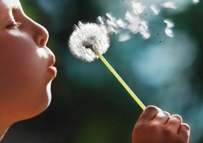 5child-blowing-dandelion1